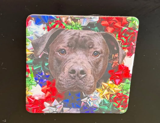 Custom Pet Magnets and Personal Photo Gifts - Heartland Craft LLC