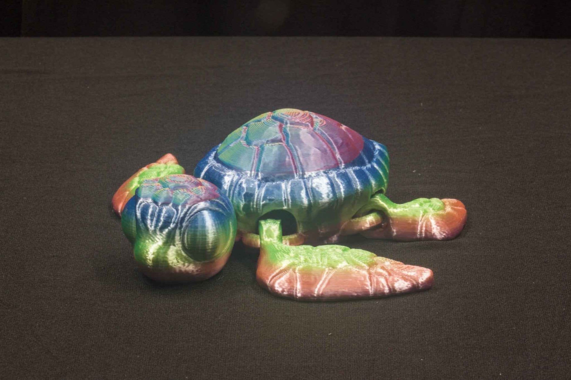 Sea Turtle - Rainbow